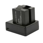 USB Dual Battery Travel Charger for SJCAM SJ4000 / SJ5000 / SJ6000 (CH1 / CH2) - 8