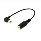 Elbow 10 Pin Mini USB to 3.5mm Mic Adapter Cable for GoPro HERO4 /3+ /3, Length: 16.5cm - 1