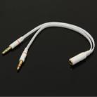 3.5mm female to 3.5mm Male Microphone Jack + 3.5mm Male Earphone Jack Adapter Cable - 1