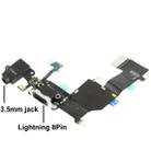 2 in 1 for iPhone 5C (Original Tail Connector Charger + Original Headphone Audio Jack Ribbon) Flex Cable - 4