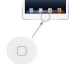 Home Button for iPad Air (White) - 1