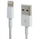 USB to 8 Pin Sync Data Charging Cable, Cable Length: 3m(White) - 1