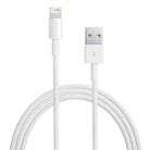 3m USB Sync Data & Charging Cable, Compatible with up to iOS 11.02(White) - 1