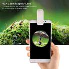 65X Zoom Digital Mobile Phone Microscope Magnifier with LED Light & Clip for Galaxy Note III / N9000 / i9500 / iPhone 5 & 5S & 5C - 5