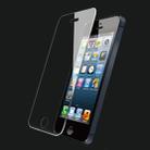 0.26mm 9H+ Surface Hardness 2.5D Explosion-proof Tempered Glass Film for iPhone 5 / 5S /5C - 3