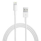 1m High Quality 8 Pin USB Sync Data / Charging Cable for iPhone, iPad(White) - 1