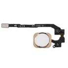 Home Key Button with PCB Membrane Flex Cable for iPhone 5S , No Fingerprint Identification Function(Gold) - 1