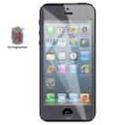 0.3mm 2.5D Anti-glare Explosion-proof Tempered Glass Film for iPhone 5 & 5S & 5C - 1