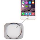 Home Button for iPhone 6(White) - 1