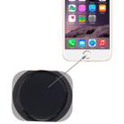 Home Button for iPhone 6(Black) - 1