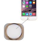 Home Button for iPhone 6(White) - 1