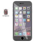 Matte Frosted Tempered Glass for iPhone 6 / 6S - 1