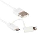 1m MFI 2 in 1 8 pin + Micro USB 2.0 Male to USB Data Sync Charging Cable(White) - 1