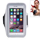 Sport Armband Case with Earphone Hole and Key Pocket for iPhone 6 Plus(Grey) - 1