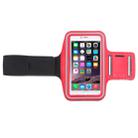 Sport Armband Case with Earphone Hole and Key Pocket for iPhone 6 Plus - 4