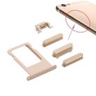 Card Tray Upper Key for iPhone 6s(Gold) - 3