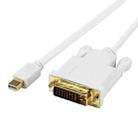 Mini DisplayPort to DVI 24+1 Male Cable Convertor adapter, Cable Length: 1.8M(White) - 1