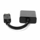 Display Port Male to DVI 24+1 Female Adapter Cable, Length: 20cm - 3