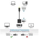 Display Port Male to DVI 24+1 Female Adapter Cable, Length: 20cm - 6