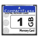 1GB Compact Flash Digital Memory Card (100% Real Capacity) - 1