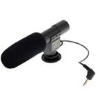 Mini Professional Stereo Microphone for DV Camcorder - 1