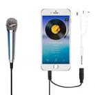 3.5mm Male + 3.5mm Female Ports Mini Household Mobile Phone Sing Song Metal Condenser Microphone, Compatible with IOS / Android System(Silver) - 1