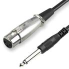 6.35mm TRS Male to XLR Female Microphone Cable, Length: 3m - 1