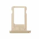 Card Tray for iPad mini 3(Gold) - 1