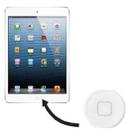 Original Home Button for iPad mini 1 / 2 / 3 (White) - 1