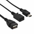 USB 2.0 Female to Mini USB AM + Micro 5 Pin AF Cable, Length: 20cm - 3