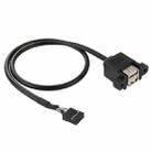 10 Pin Motherboard Female Header to 2 USB 2.0 Female Adapter Cable, Length: 50cm - 1