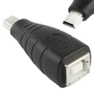 Mini USB Male to USB BF Adapter - 1