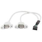 9 Pin Internal Header to 2x USB 2.0 AF Mount Pannel Cable, Length: 30cm - 1