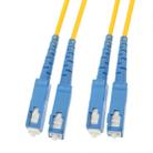 SC-SC Dual-Core Single Mode Fiber Optic Jumper - 1