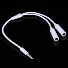 3.5mm Male to 2 Female Plug Jack Stereo Audio Cable for iPhone 6S & 6S Plus & 6 & 6 Plus & 5, iPad Air 2 & Air, Samsung, iPod Laptop, MP3, Length: 24cm(White) - 1