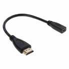 20cm HDMI Male to Micro HDMI Female Adapter Cable - 1