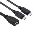 USB 2.0 Female to 2 Micro USB Male Cable, Length: About 30cm - 1