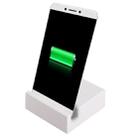 2 in 1 USB-C / Type-C 3.1 Sync Data / Charging Dock Charger - 1
