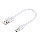 Woven Style USB-C / Type-C 3.1 Male to USB 2.0 Male Data Sync Charging Cable, Cable Length: 20cm(Silver) - 1