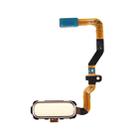 For Galaxy S7 / G930 Home Button Flex Cable(Gold) - 1