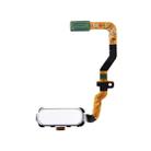 For Galaxy S7 / G930 Home Button Flex Cable(White) - 1