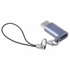 Mini Portable USB to Type-C & USB-C Converter Adapter with OTG(Grey) - 1