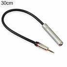 REXLIS TC128MF 3.5mm Male to 6.5mm Female Audio Adapter Cable, Length: 30cm - 1