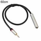 REXLIS TC128MF 3.5mm Male to 6.5mm Female Audio Adapter Cable, Length: 60cm - 1