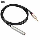 REXLIS TC128MF 3.5mm Male to 6.5mm Female Audio Adapter Cable, Length: 1m - 1