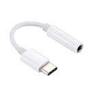 USB-C / Type-C Male to 3.5mm Female Audio Adapter Cable - 1