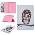 Colored Drawing Owl Pattern Horizontal Flip Leather Case for Galaxy Tab S5e 10.5 T720 / T725, with Holder & Card Slots & Wallet - 1