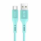 WIWU G50 1.2m 2.4A USB to Type-C/USB-C Charging Cable(Mint Green) - 1