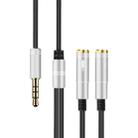 2 in 1 3.5mm Male to Double 3.5mm Female TPE High-elastic Audio Cable Splitter, Cable Length: 32cm(Silver) - 1