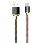 awei CL-26 0.3m 2.4A USB to USB-C / Type-C Metal Fast Charging Cable (Gold) - 1